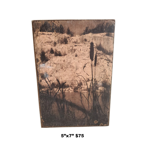 Acrylic Transfer on Steel "Pond"